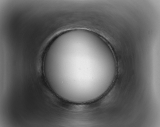 X0000088881502200706151802