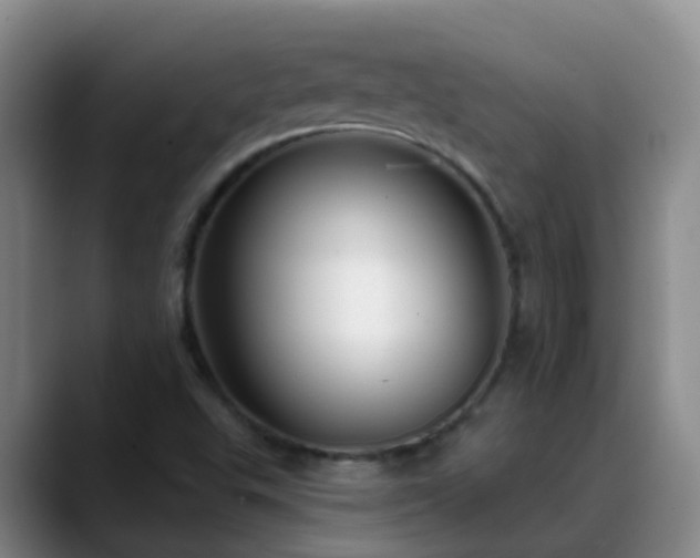 X0000088881503200706151802