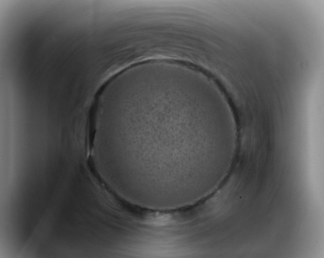 X0000088881505200706151802