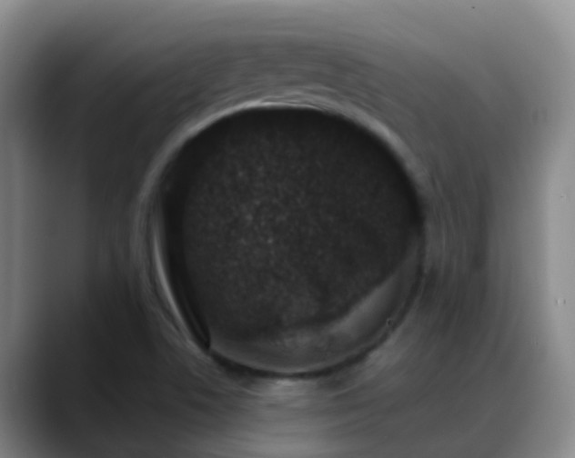 X0000088881506200706151802