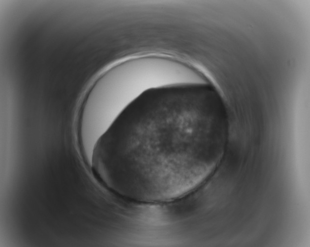 X0000088881508200706151802