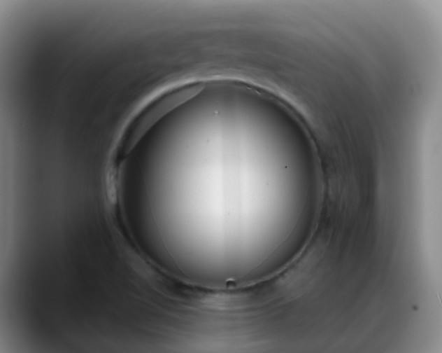 X0000088881510200706151802