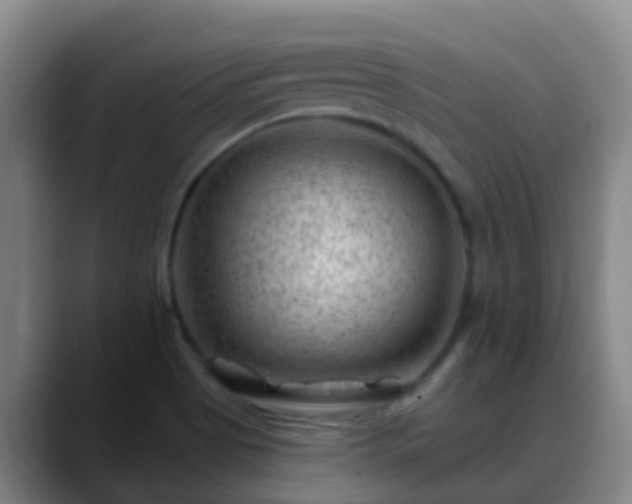 X0000088881513200706151802