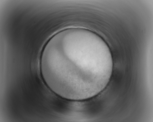 X0000088881514200706151802