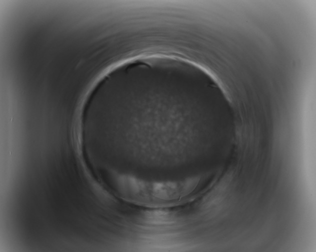 X0000088881515200706151802