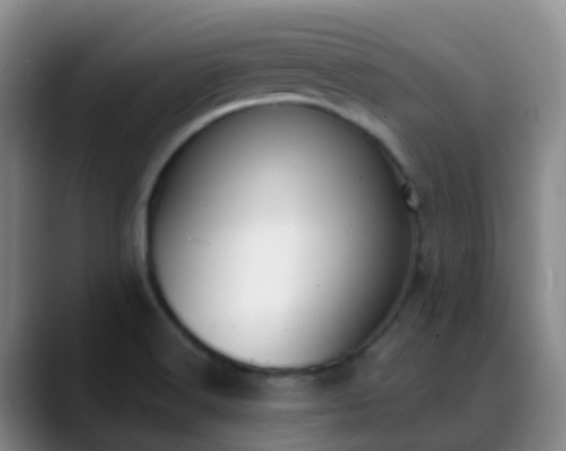 X0000088881516200706151802