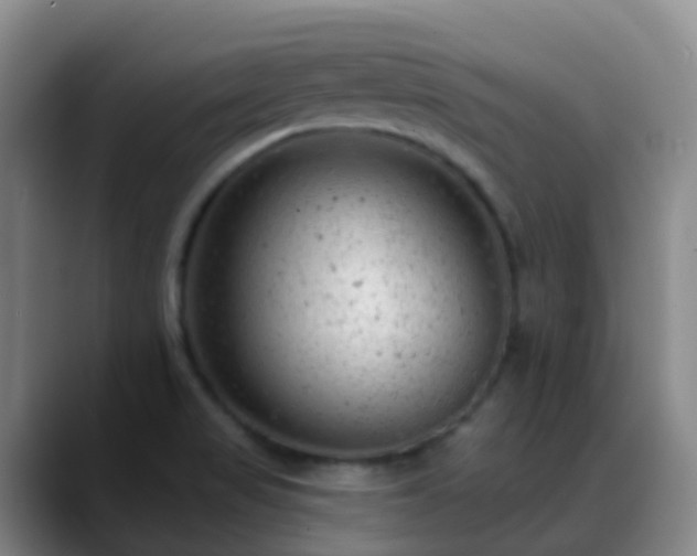 X0000088881517200706151802