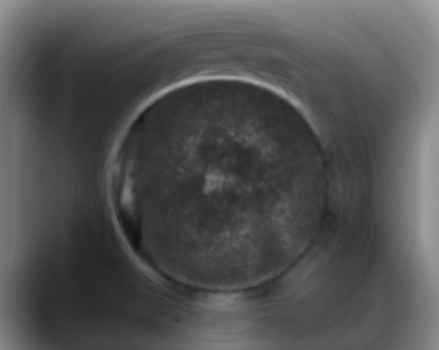 X0000088881519200706151802