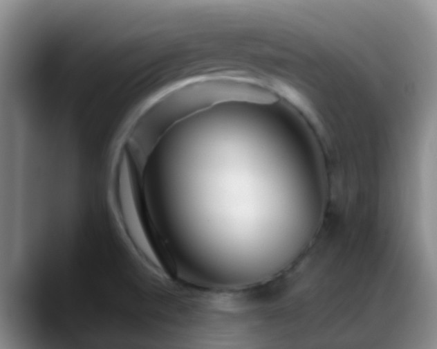 X0000088881520200706151802