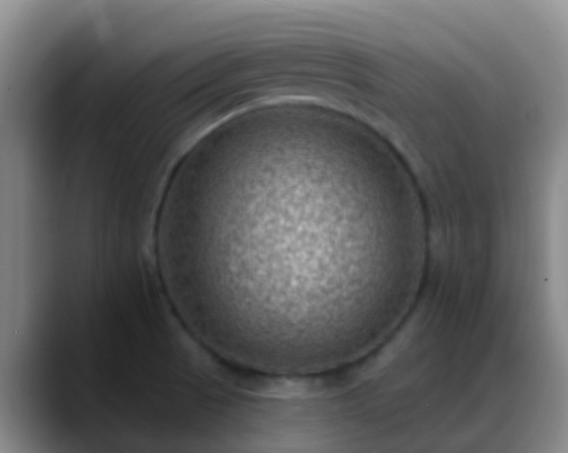 X0000088881521200706151802