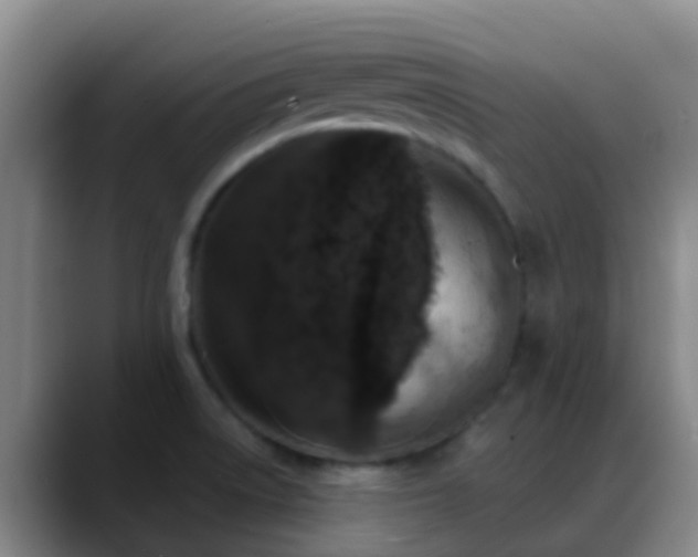 X0000088881522200706151802