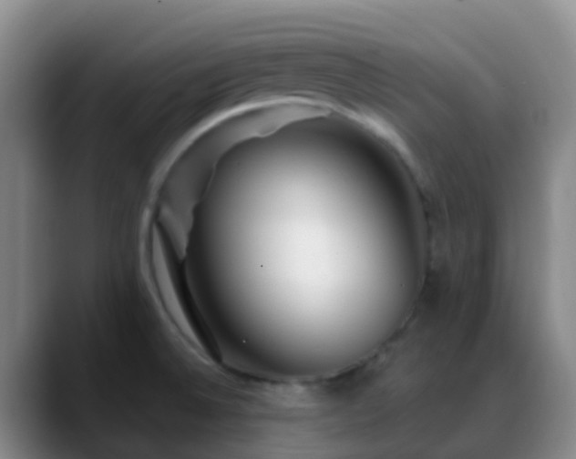 X0000088881524200706151802