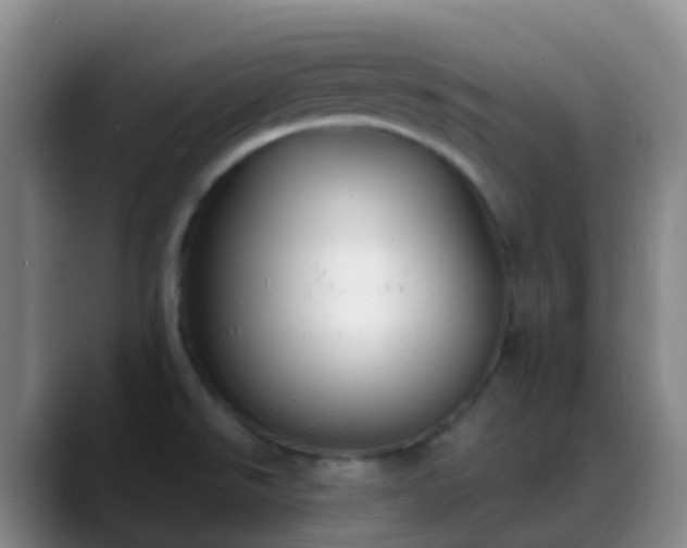 X0000088881526200706151802