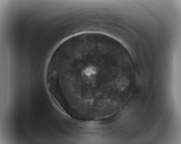 X0000088881527200706151802