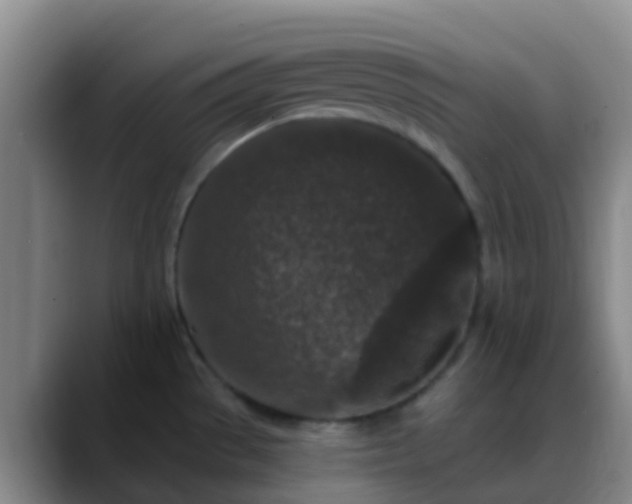 X0000088881529200706151802