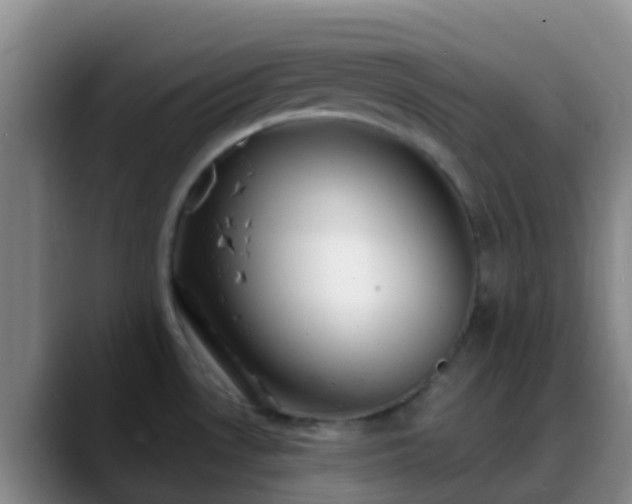 X0000088881530200706151802