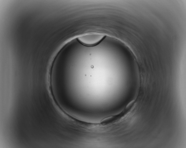 X0000088881531200706151802