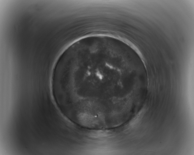 X0000088881533200706151802