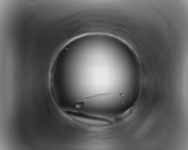 X0000088881535200706151802