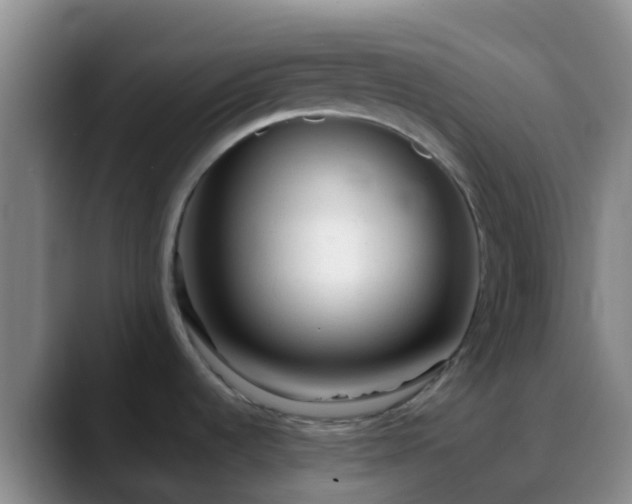 X0000088881536200706151802