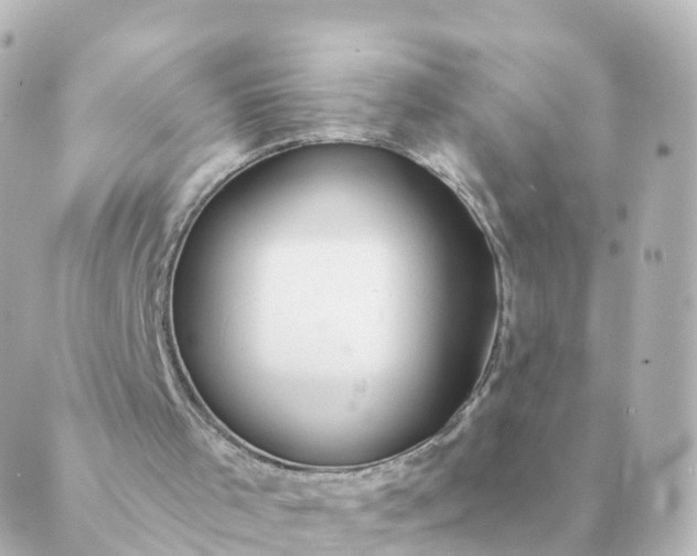 X0000088880001200706221826