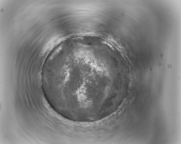 X0000088880002200706221826