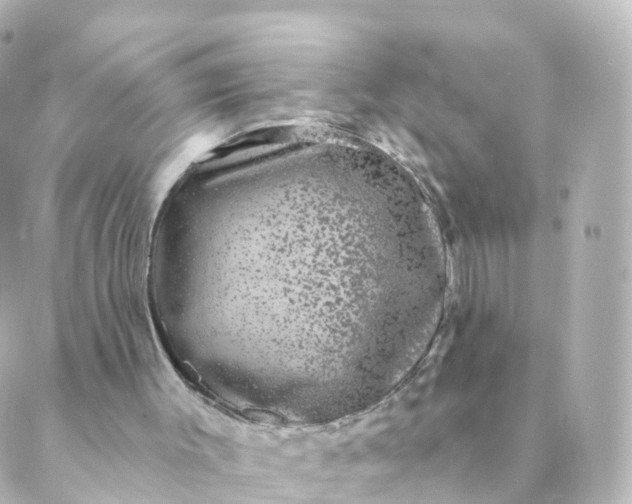 X0000088880003200706221826