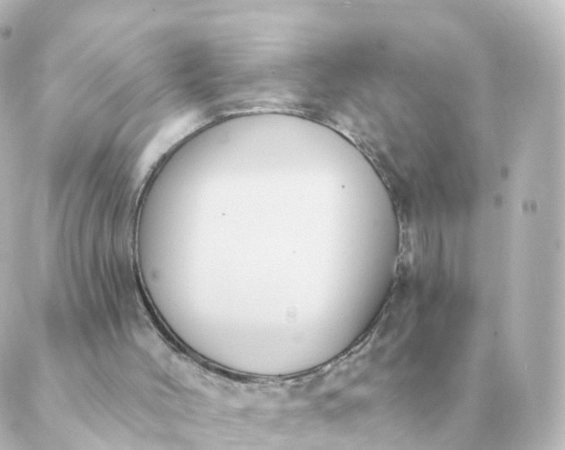 X0000088880004200706221826