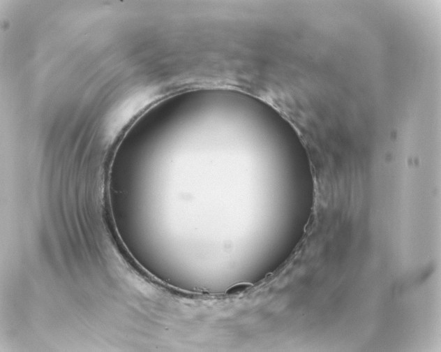 X0000088880005200706221826