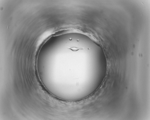 X0000088880006200706221826