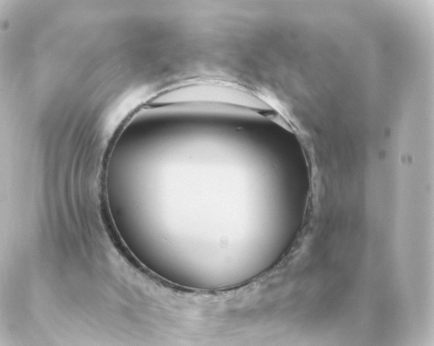 X0000088880007200706221826