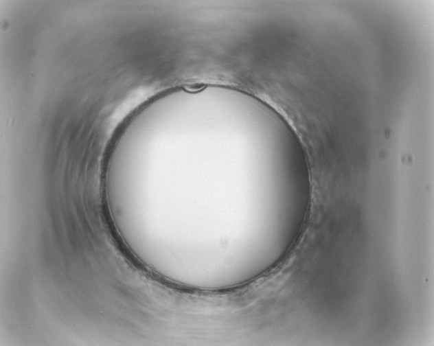 X0000088880008200706221826