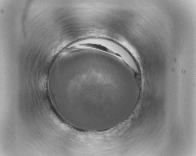 X0000088880009200706221826