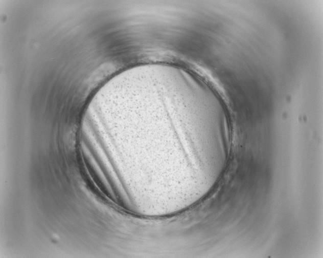 X0000088880010200706221826