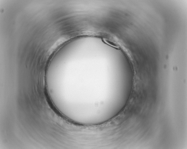 X0000088880011200706221826