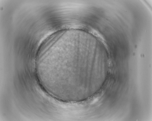 X0000088880012200706221826