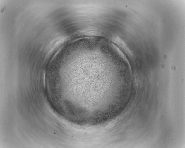 X0000088880014200706221826