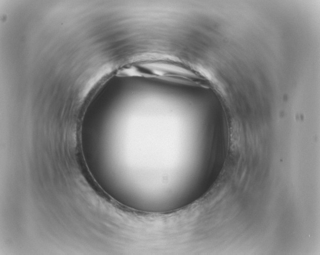 X0000088880015200706221826