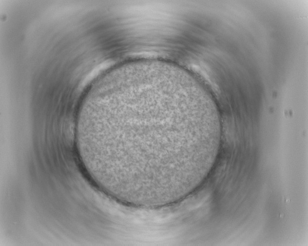 X0000088880016200706221826