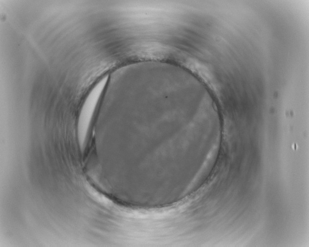 X0000088880017200706221826