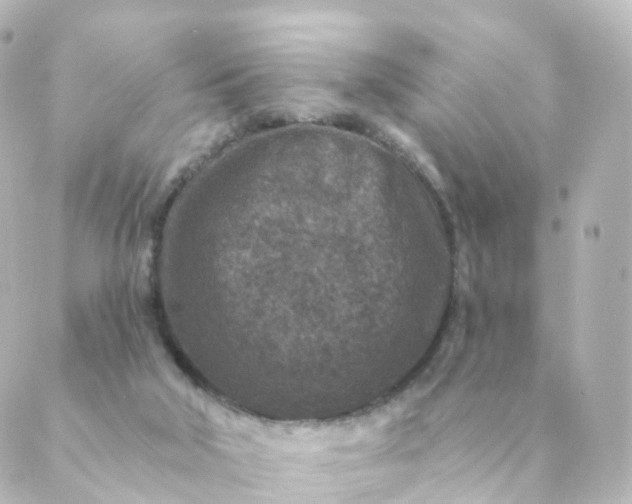 X0000088880018200706221826