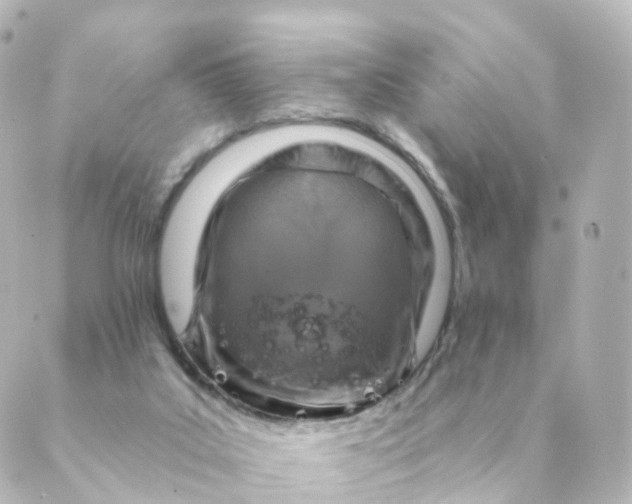 X0000088880019200706221826