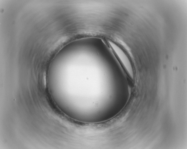 X0000088880020200706221826