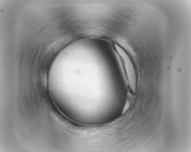 X0000088880021200706221826