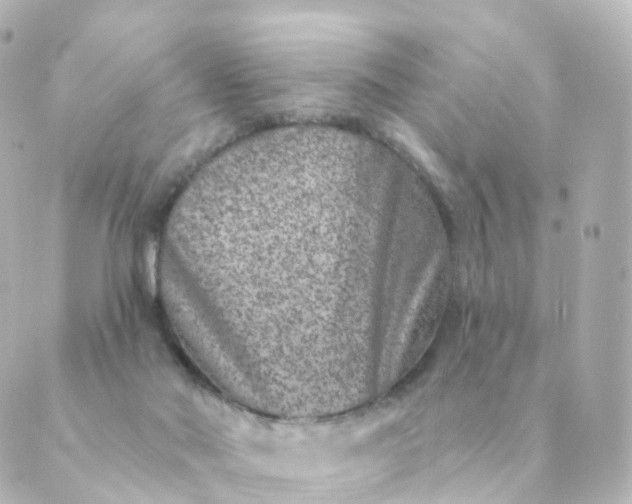 X0000088880022200706221826