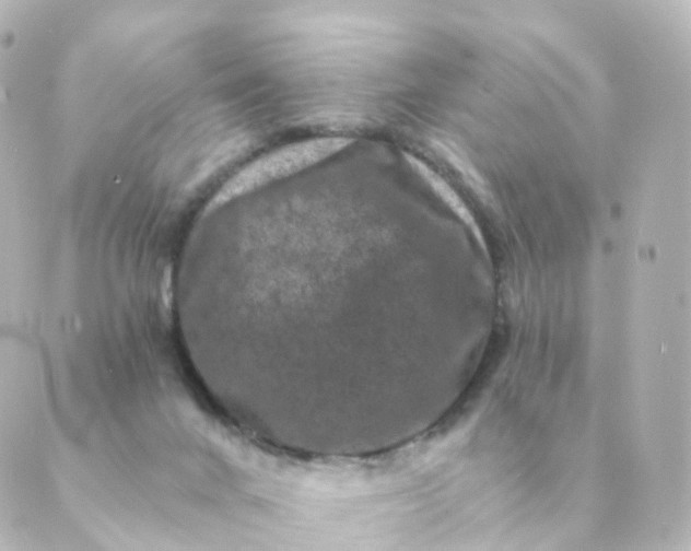 X0000088880024200706221826