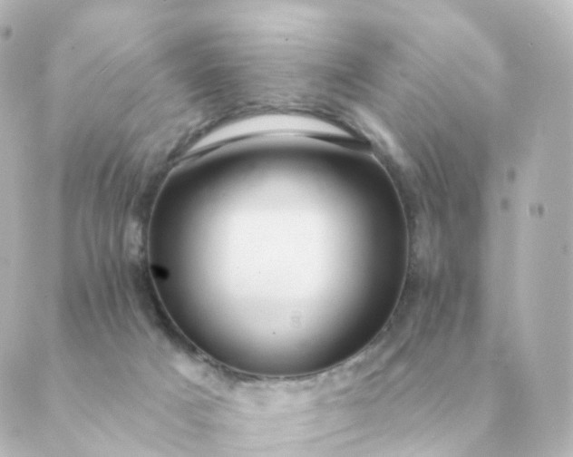 X0000088880025200706221826