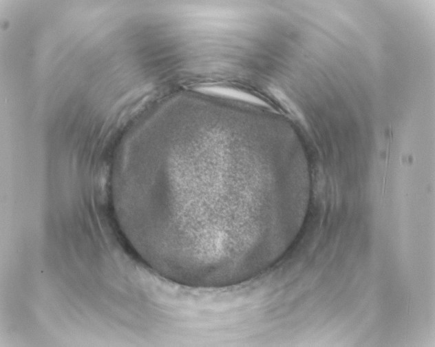 X0000088880026200706221826