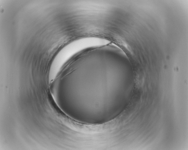 X0000088880027200706221826