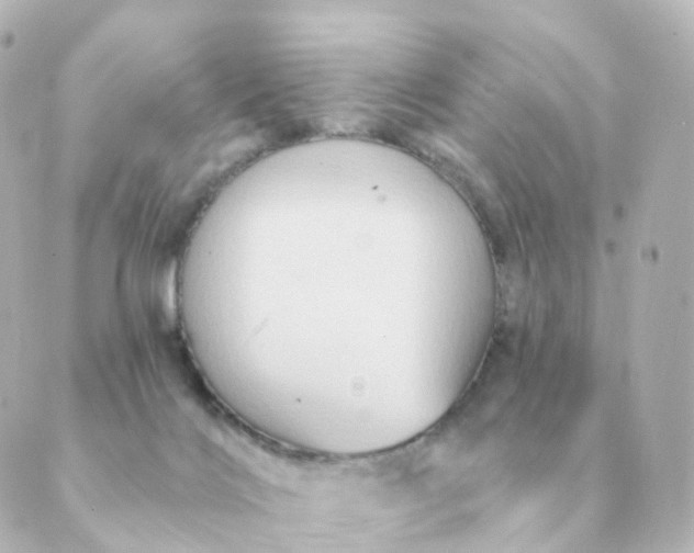 X0000088880028200706221826